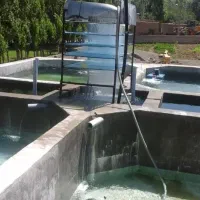 پرورش ماهی صنعتی