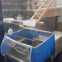 قفس پرنده با پایه