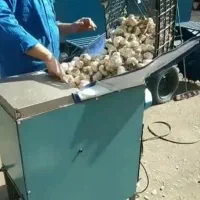 دستگاه سیر حبه کن