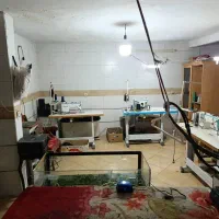 زیر زمین راه جدا ۴۰متری|اجارهٔ مغازه و غرفه|ملارد, |دیوار