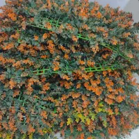 گرینوال ۲۶ عدد|گل مصنوعی|قائن, |دیوار