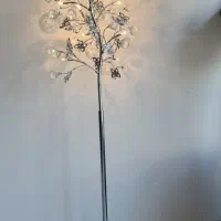 کنار سالنی وارداتی