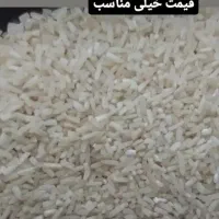 برنج محلی|خوردنی و آشامیدنی|تنکابن, |دیوار