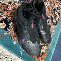 کفش استوک|کیف، کفش، کمربند|کوهدشت, |دیوار