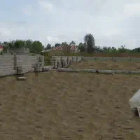 دوقطعه 500 متری زمین در رشت کاربری مسکونی