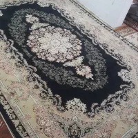 فرش نفیس مشهد ۶متری زیبا|فرش|قائم‌شهر, |دیوار