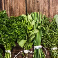 سبزی قرمه سرخ شده