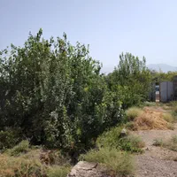 باغ 400 متری راوند|فروش زمین و ملک کلنگی|کاشان, شهرک صنعتی راوند|دیوار