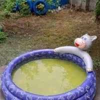 استخر بادی بزرگ|غواصی و ورزشهای آبی|رشت, حمیدیان|دیوار