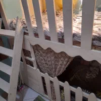 تخت کلبه دو طبقه|تخت و سرویس خواب|تهران, جوادیه|دیوار