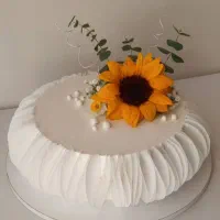 کیک وانیلی .کیک هویج .کیک کاکائویی