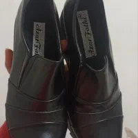 کفش نو|کیف، کفش، کمربند|اشنویه, |دیوار