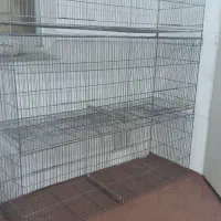 قفس دوقلو و تک پرنده