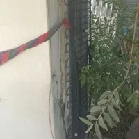 یخچال ۱۲ فوت
