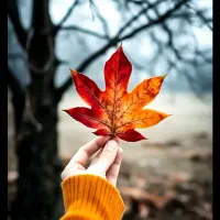 09133577583