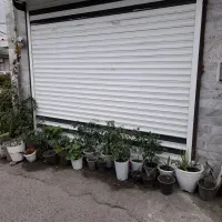 اجاره مغازه|اجارهٔ مغازه و غرفه|رشت, پل تالشان|دیوار