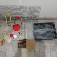 قفس پرنده