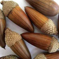 بااین قالبهاهم بساز هم بفروش|صنایع دستی و سایر لوازم تزئینی|کاشان, کوشک صفی|دیوار