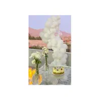 بادکنک آرایی یلدا و تولد|خدمات پذیرایی، مراسم|کرمان, |دیوار