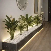 نیروی آقا