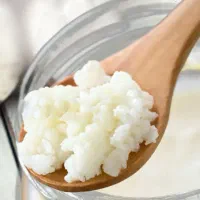 قارچ کفیرتازه