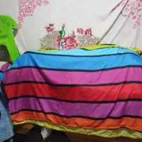تخت خواب دونفره