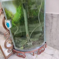 فروش و معاوضه آکواریم شیشه خم|ماهی|اصفهان, ملکشهر|دیوار