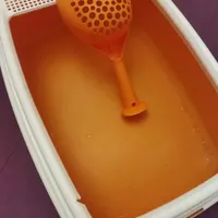 ظرف خاک گربه و ظرف آب و غذا|گربه|همدان, |دیوار