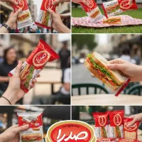 ساندویچ سرد صدرا.