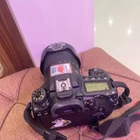 اجاره وکرایه دوربین canon 90d