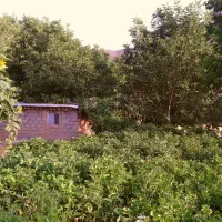 ۱۷۴۰متر زمین کشاورزی