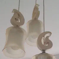 لوستربسیار تمیزه شاخه سالم