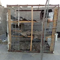 قفس جفتگاه کفتر چخ چفتگاه