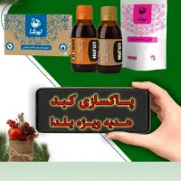 کاهش آنزیم های کبدی و درمان کبد چرب