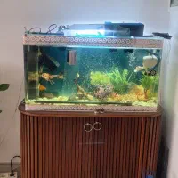 اکواریوم  شیشه خم فقط تانک خالی