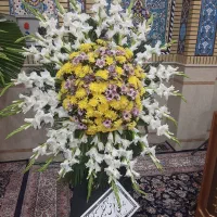 تاج گل|گل و گیاه طبیعی|ابریشم, |دیوار
