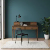 جلو مبلی اداری|مبلمان خانگی و میز عسلی|حمیدیا, |دیوار