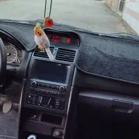 سمند سورن پلاس فول آپشن ۱۴۰۱|خودرو سواری و وانت|اراک, |دیوار