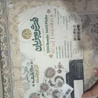 فرش|فرش|گرگان, |دیوار