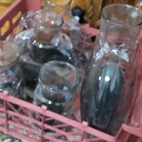 تراریوم|ماهی|ارومیه, |دیوار