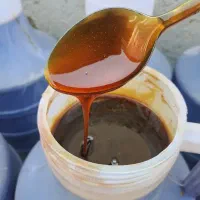 شیره تازه خرما امسال حدود ۴۵۰کیلو|خوردنی و آشامیدنی|وحدتیه, |دیوار