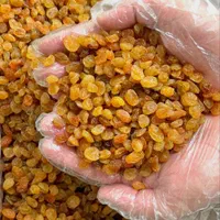 مویز،کشمش،شیره انگور (عمده خرده)|خوردنی و آشامیدنی|بوشهر, |دیوار