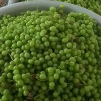 غوره های محلی
