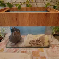 آکواریوم با لوازم کامل