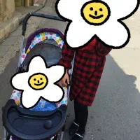 کالسکە|کالسکه و لوازم جانبی|بومهن, |دیوار