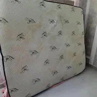 مبلشویی و فرش شویی سیار در بدره|خدمات نظافت|بدره, |دیوار