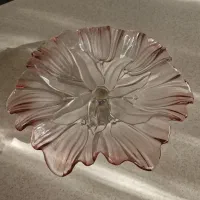 ظروف پذیرایی