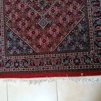 کناره ماشینی|فرش|سنندج, |دیوار
