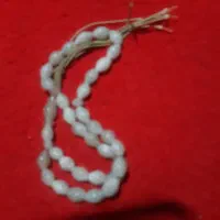 تسبیح صدف قدیمی