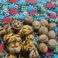 گردوی محلی مراغه و ملکان